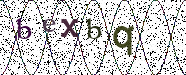 Visual Confirmation Security Code